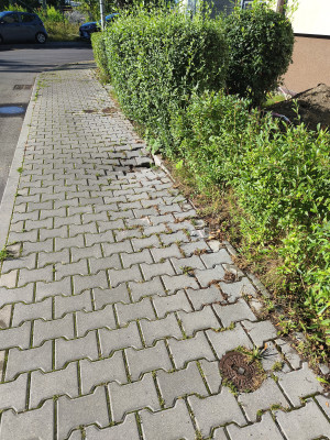 Zdjęcie 1 przedstawia problem zgłoszony w tym alercie