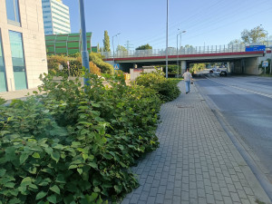 Zdjęcie 2 przedstawia problem zgłoszony w tym alercie