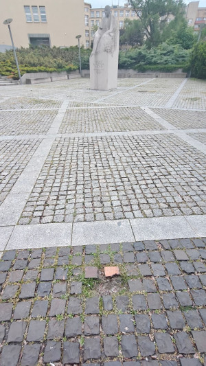 Zdjęcie 3 przedstawia problem zgłoszony w tym alercie