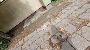 Zdjęcie 5 przedstawia problem zgłoszony w tym alercie