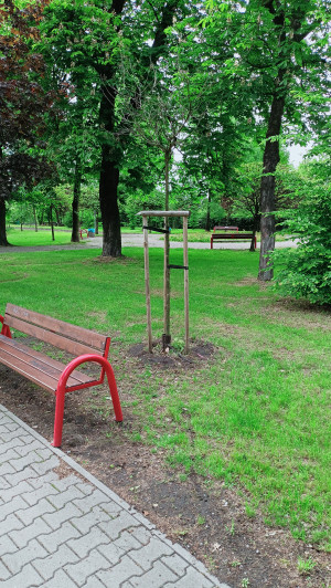 Zdjęcie 1 przedstawia problem zgłoszony w tym alercie