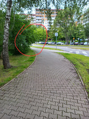 Zdjęcie 2 przedstawia problem zgłoszony w tym alercie