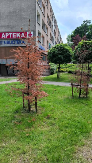 Zdjęcie 1 przedstawia problem zgłoszony w tym alercie