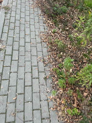 Zdjęcie 2 przedstawia problem zgłoszony w tym alercie