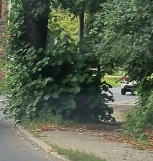 Zdjęcie 1 przedstawia problem zgłoszony w tym alercie