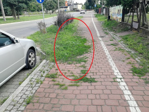 Zdjęcie 1 przedstawia problem zgłoszony w tym alercie