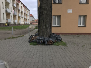 Zdjęcie 1 przedstawia problem zgłoszony w tym alercie