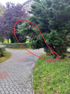 Zdjęcie 1 przedstawia problem zgłoszony w tym alercie