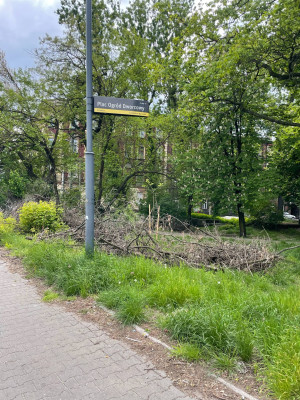 Zdjęcie 2 przedstawia problem zgłoszony w tym alercie