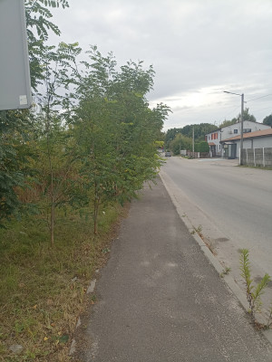 Zdjęcie 6 przedstawia problem zgłoszony w tym alercie