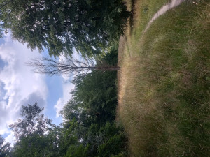 Zdjęcie 2 przedstawia problem zgłoszony w tym alercie
