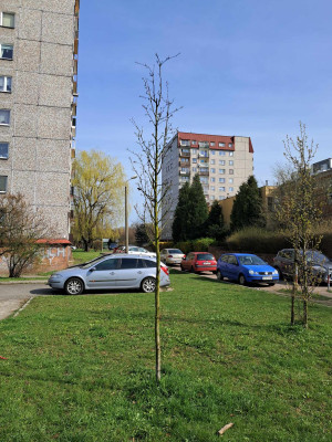 Zdjęcie 5 przedstawia problem zgłoszony w tym alercie