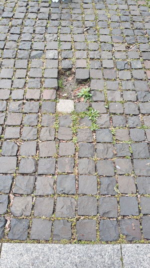 Zdjęcie 1 przedstawia problem zgłoszony w tym alercie