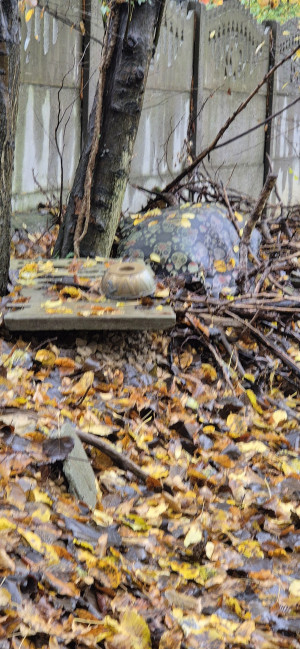 Zdjęcie 1 przedstawia problem zgłoszony w tym alercie