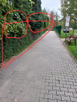 Zdjęcie 1 przedstawia problem zgłoszony w tym alercie