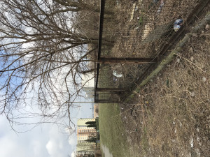 Zdjęcie 2 przedstawia problem zgłoszony w tym alercie