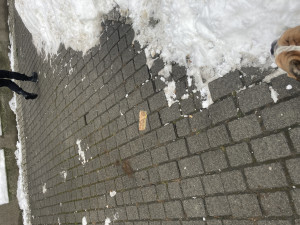 Zdjęcie 3 przedstawia problem zgłoszony w tym alercie