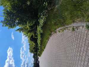 Zdjęcie 2 przedstawia problem zgłoszony w tym alercie