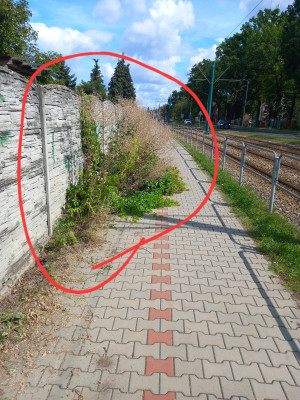Zdjęcie 3 przedstawia problem zgłoszony w tym alercie