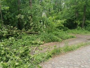 Zdjęcie 3 przedstawia problem zgłoszony w tym alercie