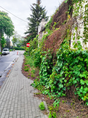 Zdjęcie 1 przedstawia problem zgłoszony w tym alercie