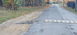 Zdjęcie 4 przedstawia problem zgłoszony w tym alercie