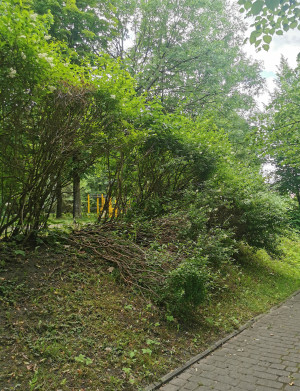 Zdjęcie 1 przedstawia problem zgłoszony w tym alercie