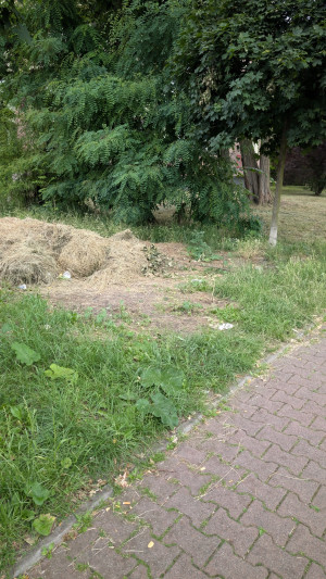 Zdjęcie 2 przedstawia problem zgłoszony w tym alercie