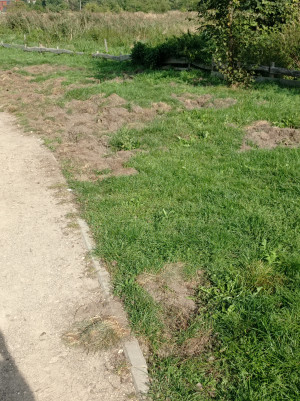 Zdjęcie 2 przedstawia problem zgłoszony w tym alercie
