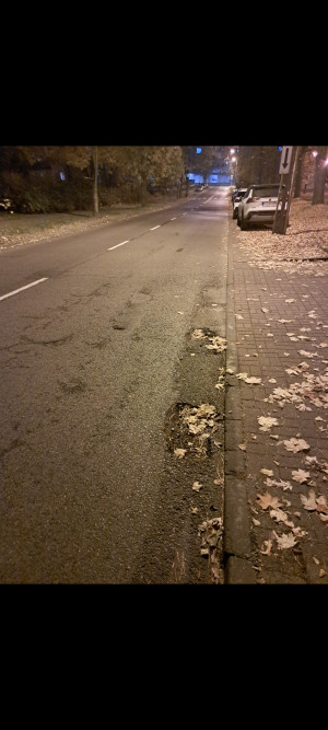 Zdjęcie 1 przedstawia problem zgłoszony w tym alercie