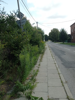 Zdjęcie 3 przedstawia problem zgłoszony w tym alercie