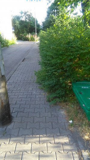 Zdjęcie 1 przedstawia problem zgłoszony w tym alercie