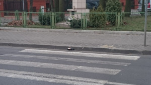 Zdjęcie 1 przedstawia problem zgłoszony w tym alercie
