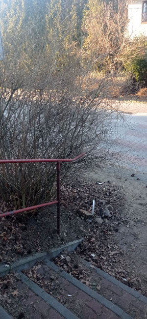 Zdjęcie 1 przedstawia problem zgłoszony w tym alercie