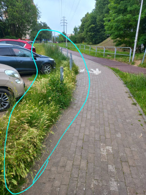 Zdjęcie 2 przedstawia problem zgłoszony w tym alercie