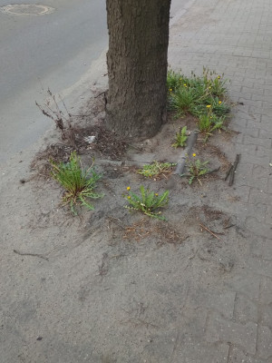Zdjęcie 2 przedstawia problem zgłoszony w tym alercie