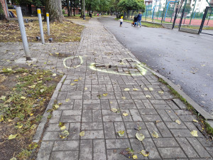 Zdjęcie 1 przedstawia problem zgłoszony w tym alercie