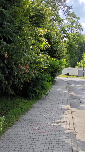 Zdjęcie 5 przedstawia problem zgłoszony w tym alercie