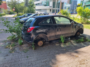 Zdjęcie 1 przedstawia problem zgłoszony w tym alercie