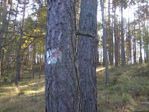Zdjęcie 2 przedstawia problem zgłoszony w tym alercie