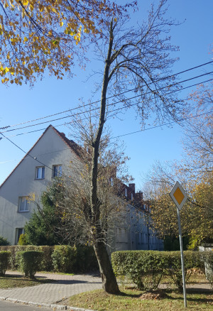 Zdjęcie 3 przedstawia problem zgłoszony w tym alercie