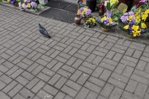 Zdjęcie 5 przedstawia problem zgłoszony w tym alercie