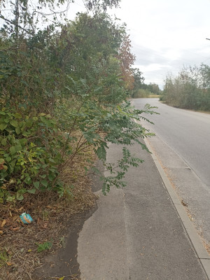 Zdjęcie 3 przedstawia problem zgłoszony w tym alercie