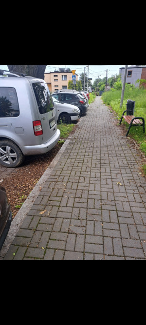 Zdjęcie 1 przedstawia problem zgłoszony w tym alercie