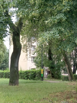 Zdjęcie 1 przedstawia problem zgłoszony w tym alercie