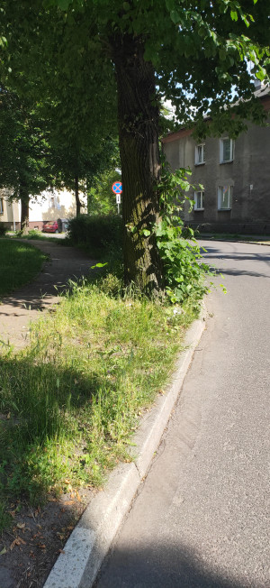 Zdjęcie 2 przedstawia problem zgłoszony w tym alercie