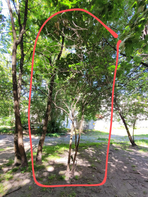 Zdjęcie 2 przedstawia problem zgłoszony w tym alercie