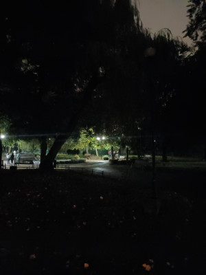 Zdjęcie 1 przedstawia problem zgłoszony w tym alercie