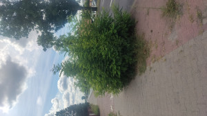 Zdjęcie 1 przedstawia problem zgłoszony w tym alercie