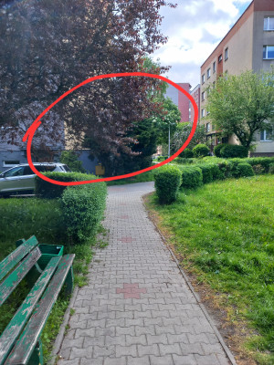 Zdjęcie 1 przedstawia problem zgłoszony w tym alercie